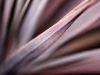 01760_redsensation_800x480