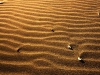 01948_sandy_800x480