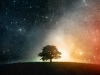 01968_cosmosition_800x480