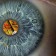 HTC M8 Eye to feature 13 megapixel DuoCamera