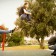 How to create sequence shots with the HTC One using Zoe and continuous shooting